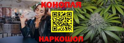 apvp Гатчина