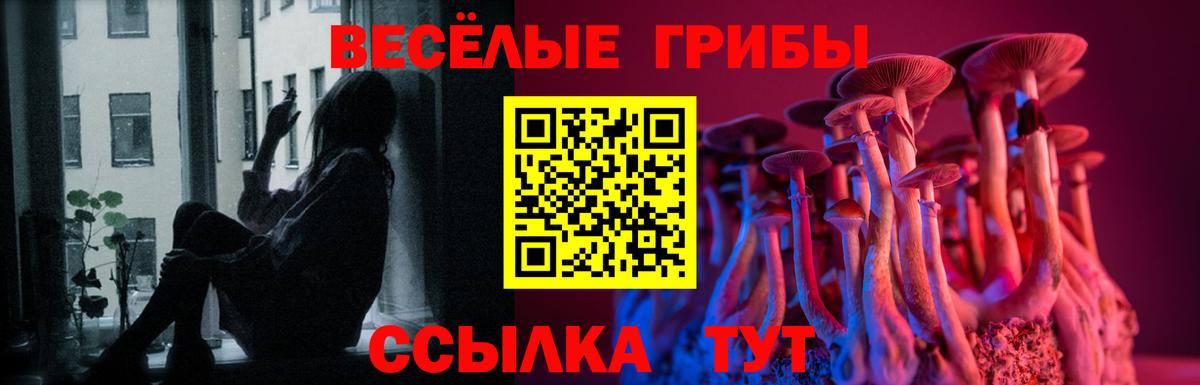 Глазов  Псилоцибиновые грибы MAGIC MUSHROOMS  Псилоцибиновые грибы мицелий  Вход с VPN 